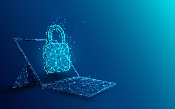 Windows 11 Privacy Settings Guide